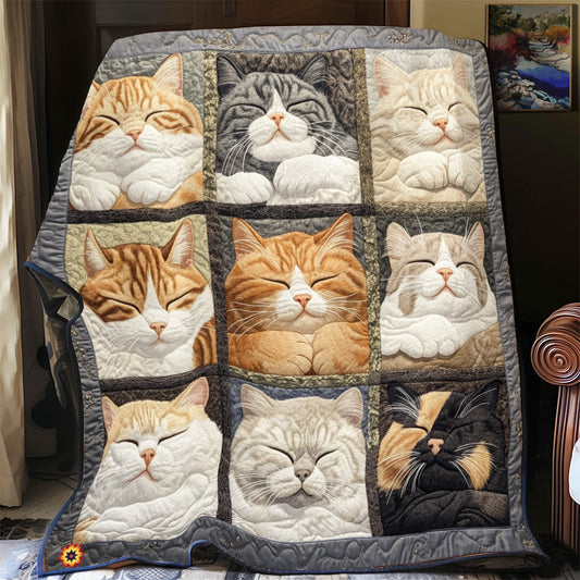 Cozy Cat Dreams YR2512042CL Quilt