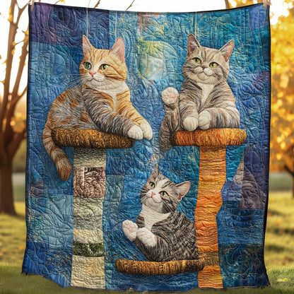 3 Cat Playing WP0608017CL Quilt