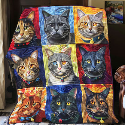 Colorful Tabby Collection WP1408005CL Quilt