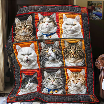 Surprised Cat Collection WP1408016CL Quilt