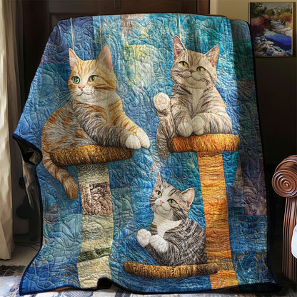 3 Cat Playing WP0608017CL Quilt