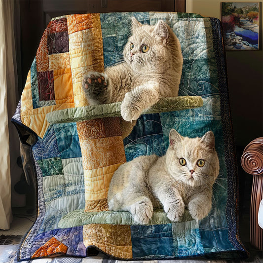 British Cat Playing WP0608014CL Quilt