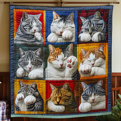 Cat Cover Face With Paw WP0409003CL Quilt