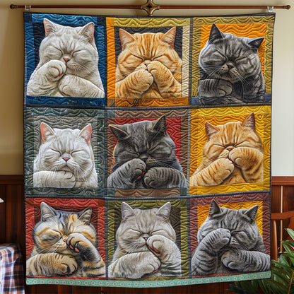 Cat Covering Face  WP0409004CL Quilt