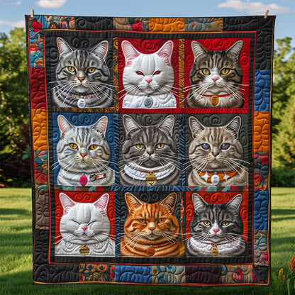 Collection Angry Cat WP1408004CL Quilt