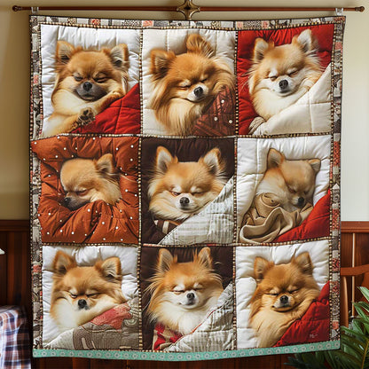 Nest Pomeranian WP3008018CL Quilt