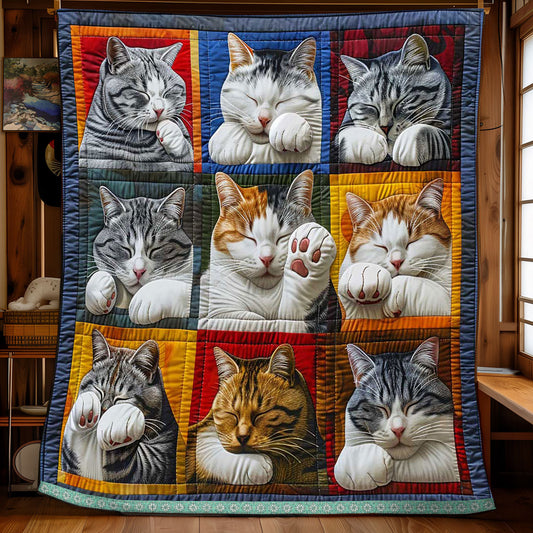 Cat Cover Face With Paw WP0409003CL Quilt