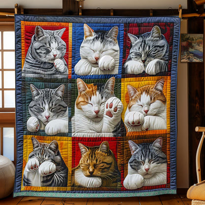 Cat Cover Face With Paw WP0409003CL Quilt