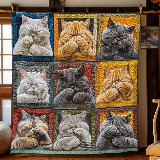 Cat Covering Face  WP0409004CL Quilt