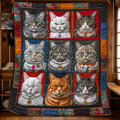 Collection Angry Cat WP1408004CL Quilt