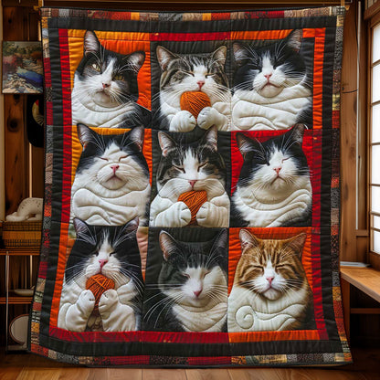 Tuxedo Cat Collection WP1408017CL Quilt