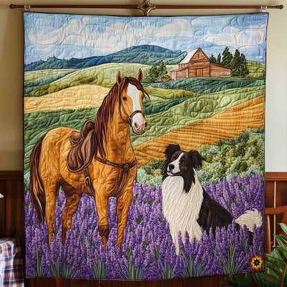 Horse And Border Collie WY1911102CL Quilt