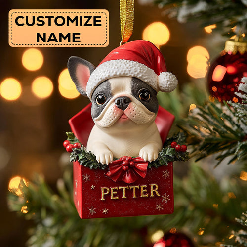 French Bulldog Box CW2411017CL Personalized Christmas Ornament