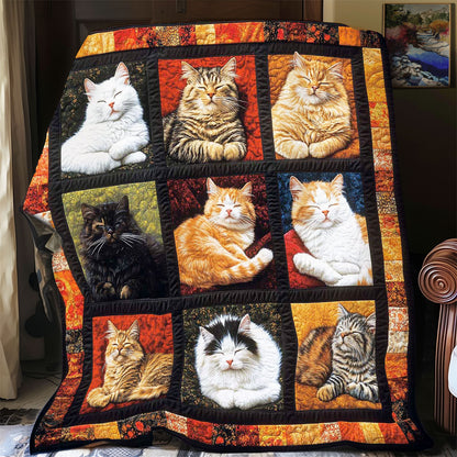 Collection Chilling Cat WP0708007CL Quilt