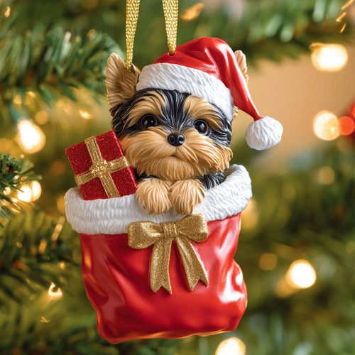 Tiny Claus CP1710037CL Christmas Ornament