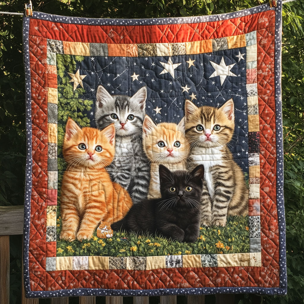 American Shorthair WT2610028CL Quilt