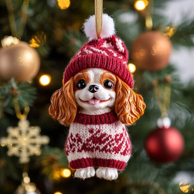 Cute Beanie XR1610003CL Christmas Ornament
