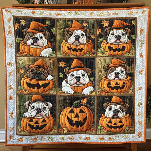 Bulldog Flicker WN2609079CL Quilt