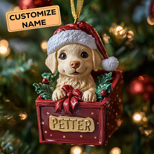 Golden Present CW2411028CL Personalized Christmas Ornament