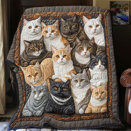 Cats Gaze CP0206010CL Quilt
