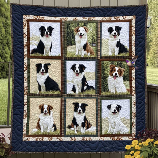 Gentle Border Collies WN2910040CL Quilt