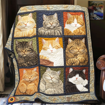 Cute Cat YR2412022CL Quilt