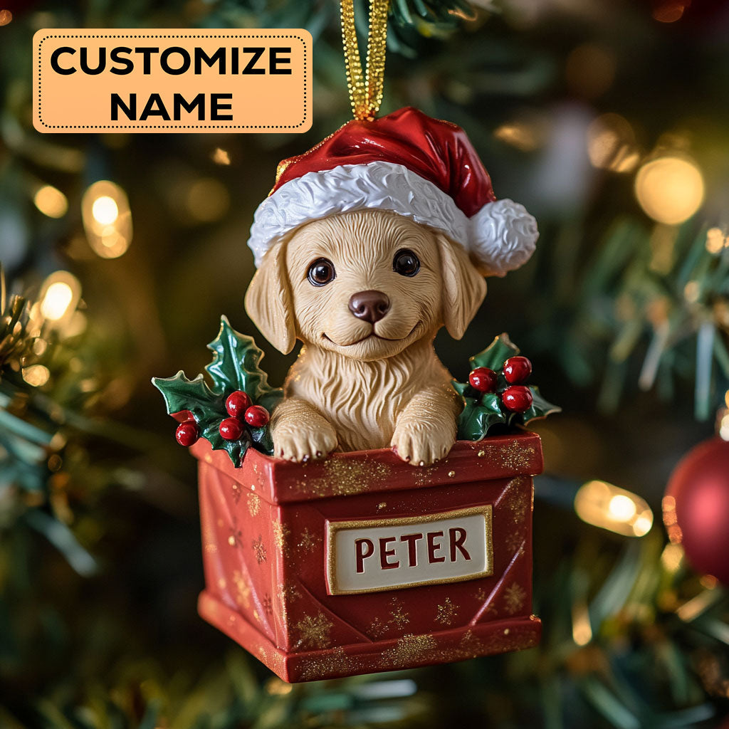 Golden Gift CW2411027CL Personalized Christmas Ornament
