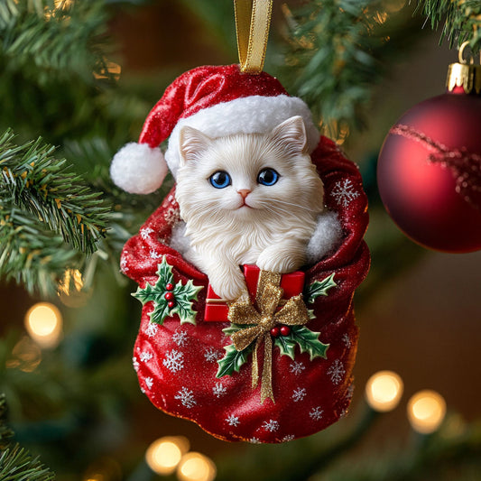 Ragdoll Gift CW2411128CL Christmas Ornament