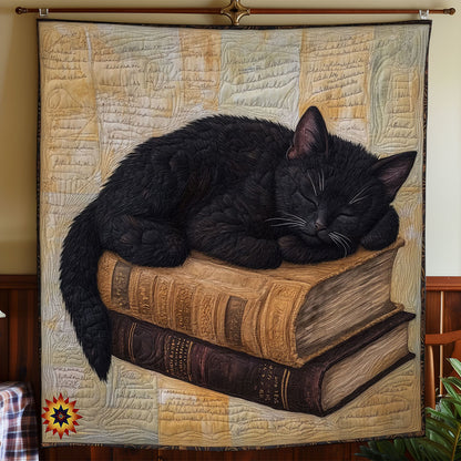 Black Cat Sleeping Book WY2711046CL Quilt