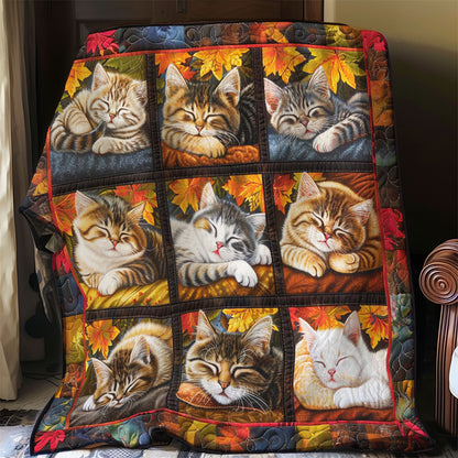 Cozy Naps In Golden Light WO1508021CL Quilt