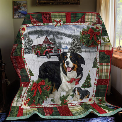 Bernese Christmas Lights WN3008024CL Quilt