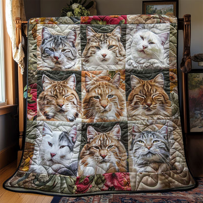 Cats Nap Haven WN2108130CL Quilt