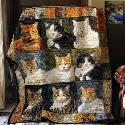 Charming Naps Cats WN1508086CL Quilt