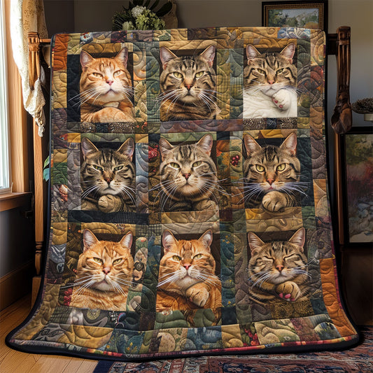Defiant Cats WN2208035CL Quilt