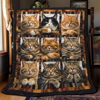 Fluffy Cats WN2208018CL Quilt