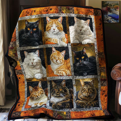 Halloween Cats Slumber WN1508112CL Quilt