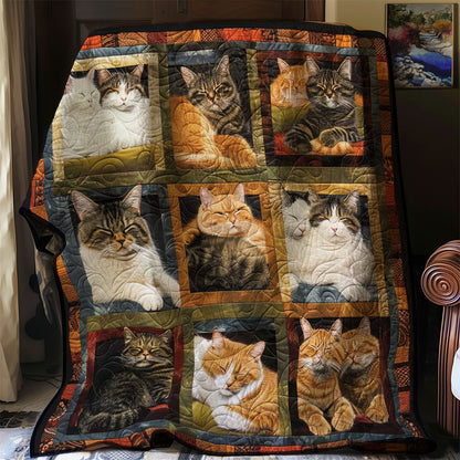 Snoozy Cats WN1508039CL Quilt