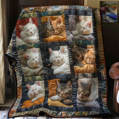 Soft Cats WN1508026CL Quilt