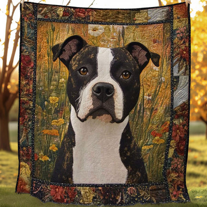 American Staffordshire Terrier Haven WN0508034CL Quilt