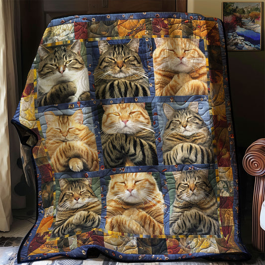Cozy Naps WN2208034CL Quilt