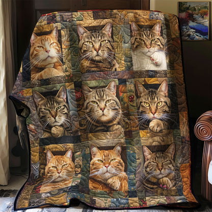Defiant Cats WN2208035CL Quilt