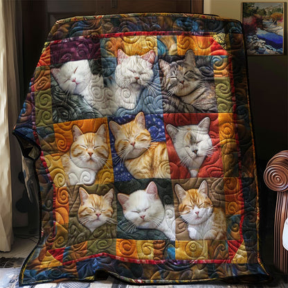 Drowsy Cats WN2108032CL Quilt