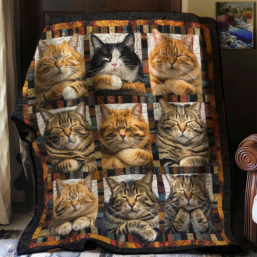 Fluffy Cats WN2208018CL Quilt