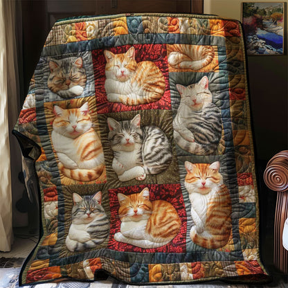 Furry Cats WN2108033CL Quilt