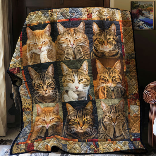 Headstrong Cats WN2208032CL Quilt