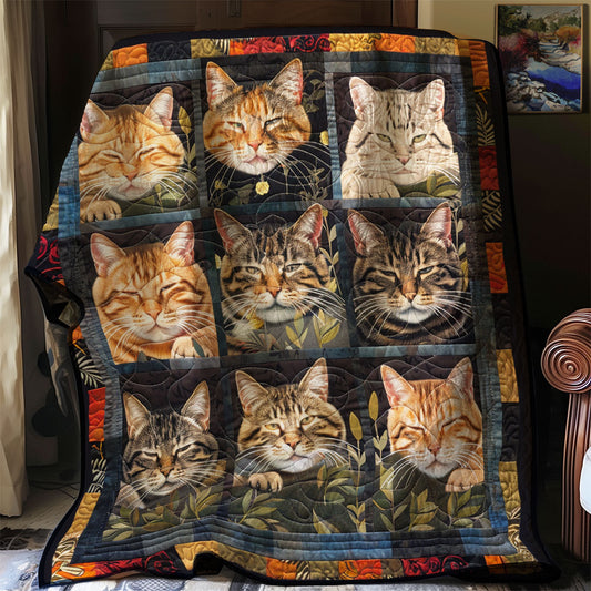 Lovable Cats Wrap WN2208019CL Quilt