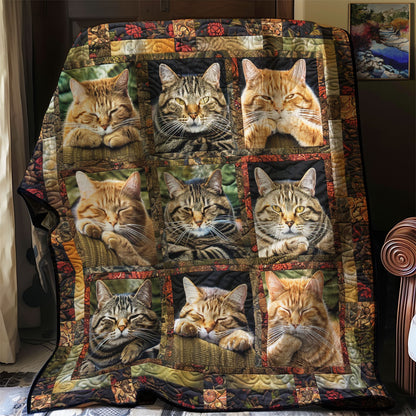 Precious Cats WN2208020CL Quilt