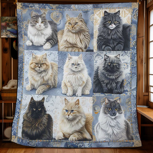 Royal British Longhair WN1908001CL Quilt