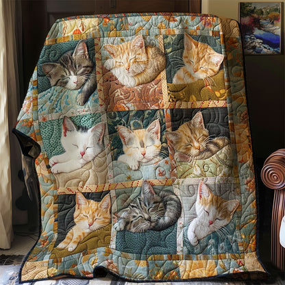 Sleepy Cat Blanket WN2108002CL Quilt