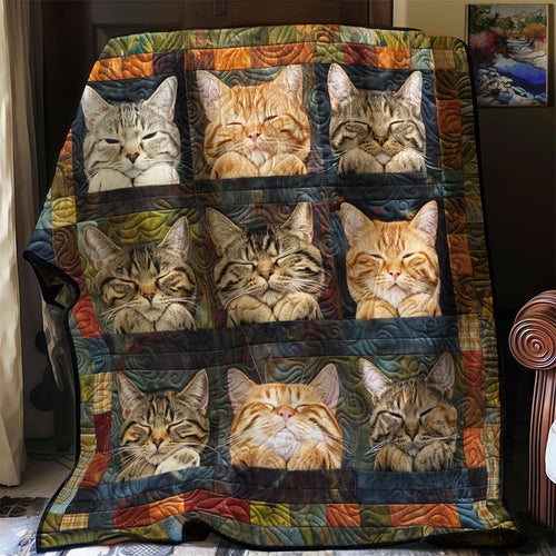 Sweet Cats Wrap WN2208016CL Quilt